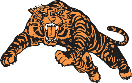 Princeton Tigers 1964-1983 Primary Logo diy fabric transfer